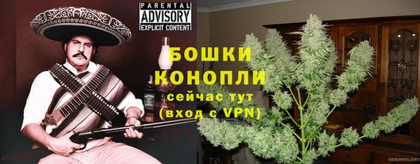 крисы Слюдянка