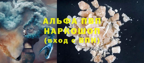 СК Сосновый Бор