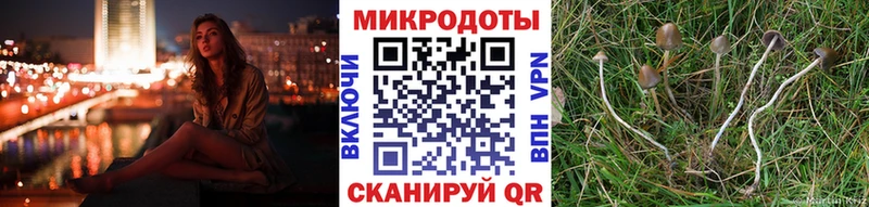 Псилоцибиновые грибы MAGIC MUSHROOMS  наркота  Полесск 